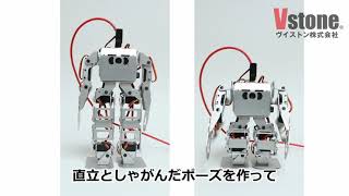 【二足歩行】Robovie-nanoのモーションを作る