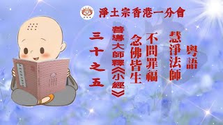 《粤語》不問罪福 念佛皆生 | 善導大師釋《小經》| 三十之五 | 慧淨法師 | 淨土宗