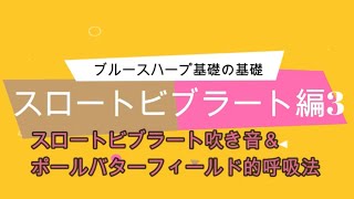 【ブルースハープ基礎の基礎】スロートビブラート3　スロートビブラート吹き音の練習＆ポールバターフィールド的呼吸法