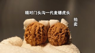 【拍卖】精对门头沟一代麦穗虎头 皮质好骨质硬 密度高 粗筋粗棱 37/35/38 全品无修 50起拍每手+10 礼拜二晚8点截拍