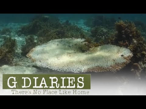 G Diaries Season 1: G Diaries showcases Guimaras and Iloilo Episode Highlights