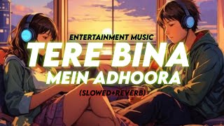 Tere bina mein adhoora 💗 |(slowed+reverb) | new hindi song 2025| romantic mashup Entertainment Music