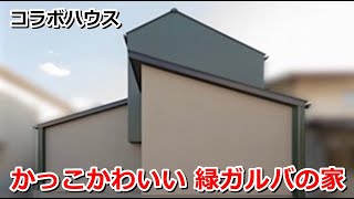 コラボハウス｜かっこかわいい 緑ガルバの家【住宅番組】まっすんの陽あたり良好2023.12.2放送