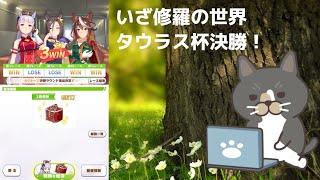 「ウマ娘」28　タウラス杯　グレードリーグ決勝！　先行 追込編成