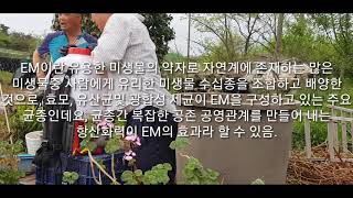 EM(유용한 미생물) 배합 및 사용법