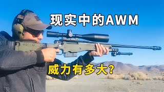 AWM狙擊步槍在現實中到底有多恐怖？威力震撼！ #武器评测 #狙击步枪 #实验测试 #军用装备 #单兵口粮