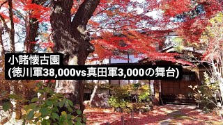 小諸懐古園(徳川軍38,000vs真田軍3,000の舞台)おすすめ信州上田旅⑦