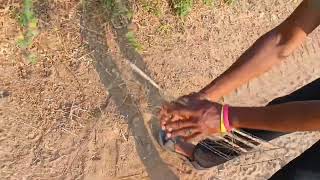 primitive technology hunting pulla kodi birds catching tradiitional bird trap fisher man