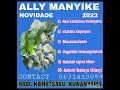 ally manyike xitahaha xinyanyani mp3