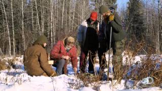Clearing a Beaver Dam with Dynamite Sons of Winter