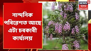 Teok News | সেউজীয়া পৰিৱেশৰ মাজত আছে এটা চৰকাৰী কাৰ্যালয়