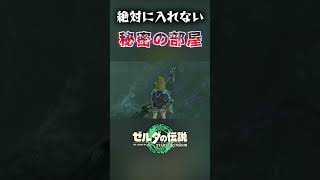 絶対に入れない秘密の部屋に無理やり侵入してみると...  #totk #ティアキン #ゼルダの伝説ティアーズオブザキングダム