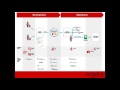 Redgate DLM Demo (with Git, TeamCity, & Octopus Deploy)