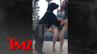 Instagram Model Fires Back in Dog Sexual Assault Suit, Blames Owner | TMZ