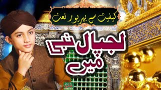 || Best Naat || Lajpal Nabi Meray ||  Ali Hassan Sajjad || Ali Sound Gujranwala || Emotional Naat |