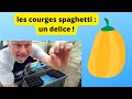 comment semer vos courges spaghetti : un délice