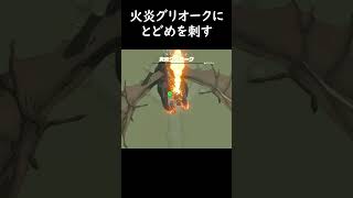 火炎グリオークにとどめを刺す 【ゼルダの伝説 ティアーズオブザキングダム】