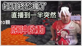 ［紅月精華］紅月終於瘋掉了！？直播到一半突然 原神!啟動!