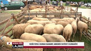 NESËR FESTA E KURBAN BAJRAMIT, ANKOHEN SHITËSIT E KURBANËVE