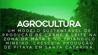 Expectativa para o aumento da exportação do Etanol | AgroCultura