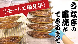 #1 リモート工場見学！　よつ葉のうなぎのかば焼きができるまで