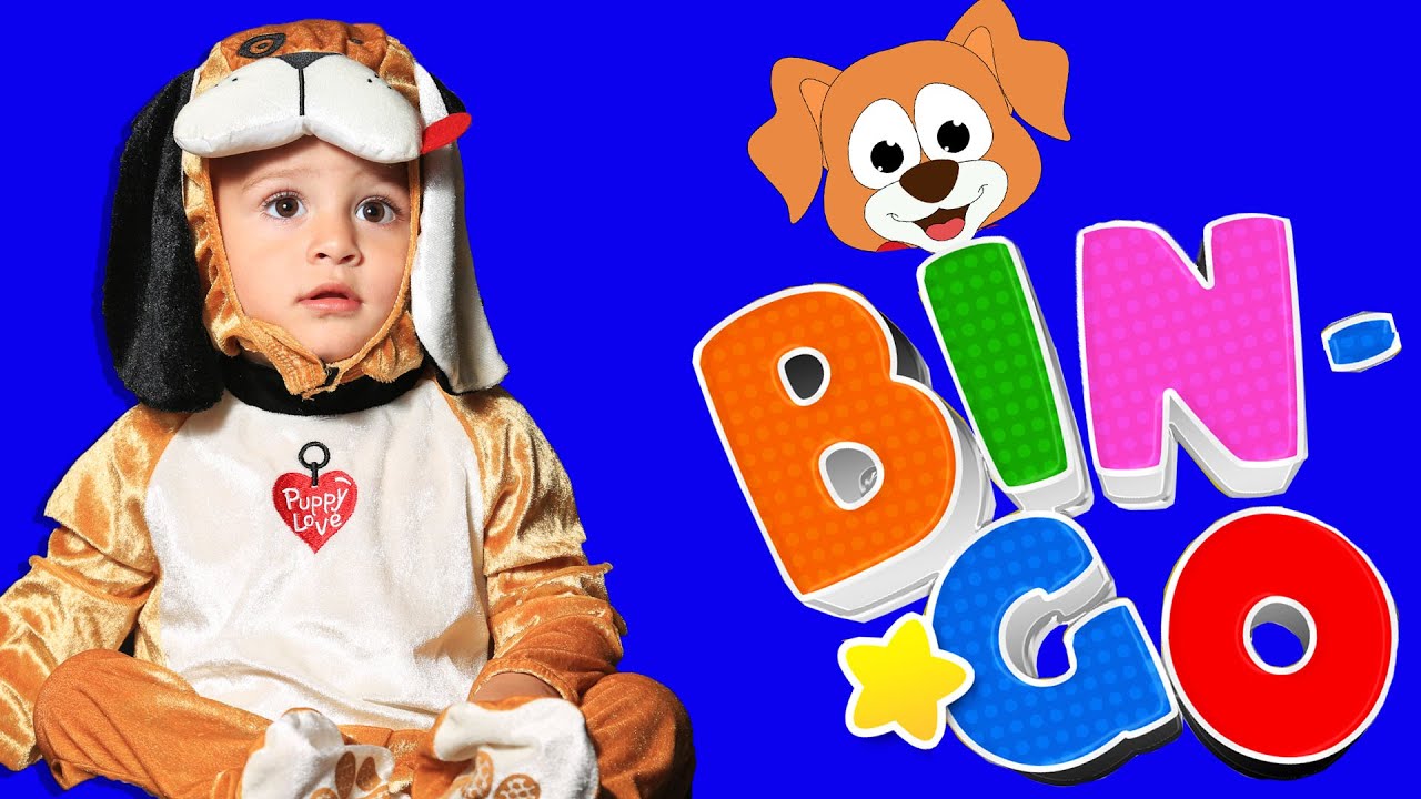 Bingo Nursery Rhymes Baby Song Youtube