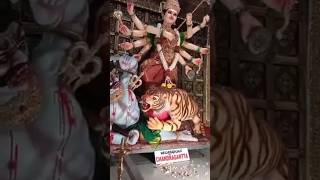 The nine forms of Mata Durga which is worshipped during Navratri🙏 #youtuber #viral #india #festival