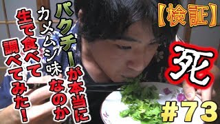 #73 【検証】パクチーが本当にカメムシ味なのか生で食べて調べてみた！【死】