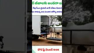 cows ambulance services in Andhra Pradesh state