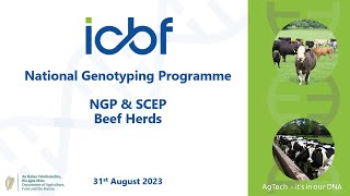 National Genotyping Programme Webinar- SCEP Beef Herds