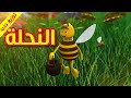 النحلة - قناة بلبل BulBul TV