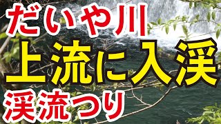 【渓流釣り 大谷川】上流に初入渓３㎞を歩く　フライフィッシング（栃木県日光市）　River Healing Channel