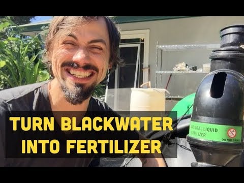 Can black water be used for irrigation?