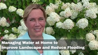 Managing Water at Home to Improve Your Landscape and Reduce Flooding