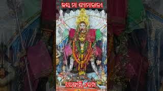 Jai Maa Kali ll ଶ୍ୟାମାକାଳୀ ପୂଜା ରେଙ୍ଗାଲି କେମ୍ପ#shortsfeed #shorts #shortvideo #rishifilms