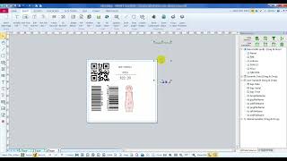 Print on demand personalization the best variable data printing software