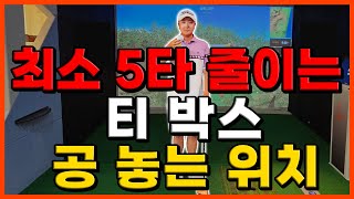 [파크골프 레슨] 최소 5타 줄일 수 있는 티 박스에서 공 놓는 위치