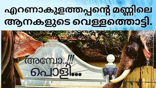 ഇതൊക്കെ കണ്ടാല്‍ അറിയാതെ ആനപ്രേമിയായി പോകും|Ernakulam Shiva Temple | Elephant bath.