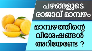 പഴങ്ങളുടെ രാജാവ് മാമ്പഴം | മാമ്പഴത്തിന്റെ വിശേഷങ്ങൾ അറിയേണ്ടേ ? | MANGO FRUIT