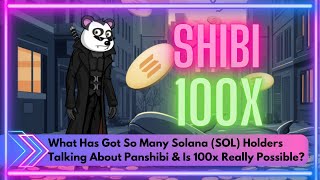 What Has Got So Many Solana (SOL) Holders Talking About Panshibi \u0026 Is 100x Really Possible?