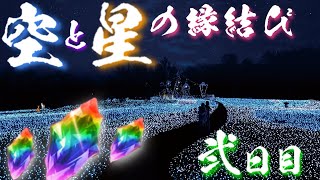 【グラブル】ゆく年くる年キャンペーン（2020/12）　毎日最高200連ガチャ無料　2日目　Part1【空と星の縁結び】