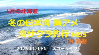 2025年1月下旬　冬の日本海海アメ 海サクラ釣行NO5~IN 瀬棚~