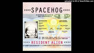 Spacehog - In the Meantime (PAL/High Tone)