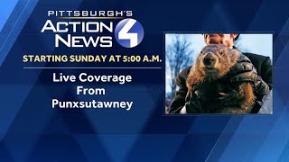 How accurate are Punxsutawney Phil's forecasts?