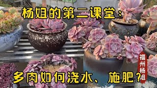 福州杨姐：杨姐的第二课堂：聊聊几种情况下多肉如何浇水？干嘛不能多浇水？