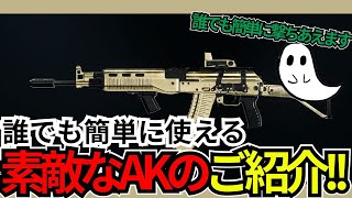 え？全然AKが使えない？そんなあなたにこちらの商品！！！【Call of Duty bo6】