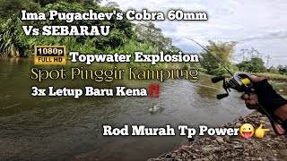 Casting Sebarau-Gewang Meledak DiPinggir Kampung-pendalaman Jelebu-Ima Pugachev's Cobra 60mm-vlog270