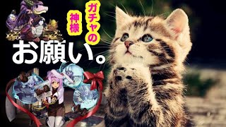 ディーナ狙いでバレンタインガチャ【パズドラ 】#吉日ガチャ #パズドラガチャ #バレンタインデー