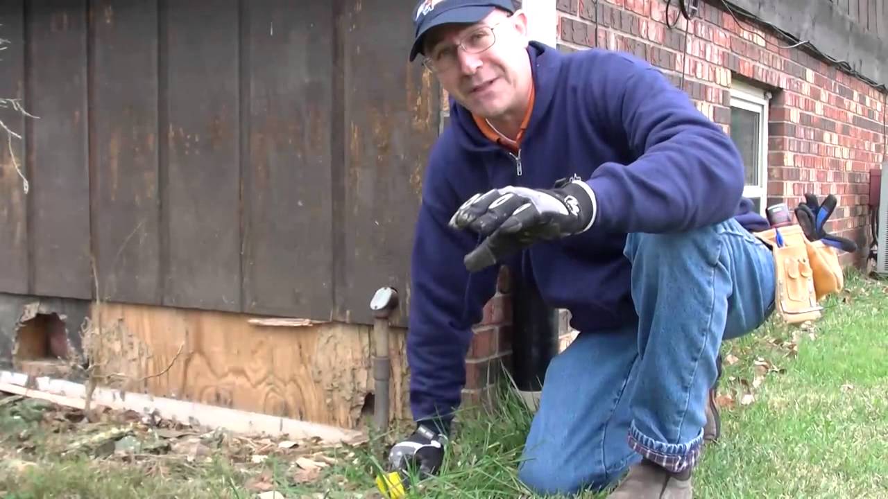 Termite Damage Repair - ProMaster Home Repair - YouTube