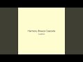 Harmony Breeze Cascade